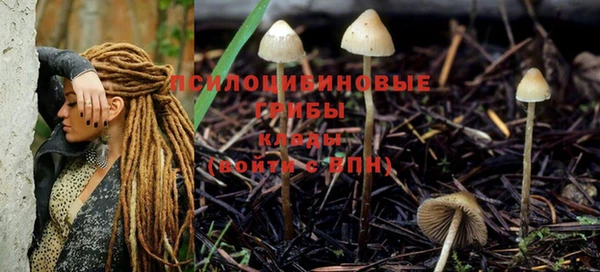 PSILOCYBIN Бугульма